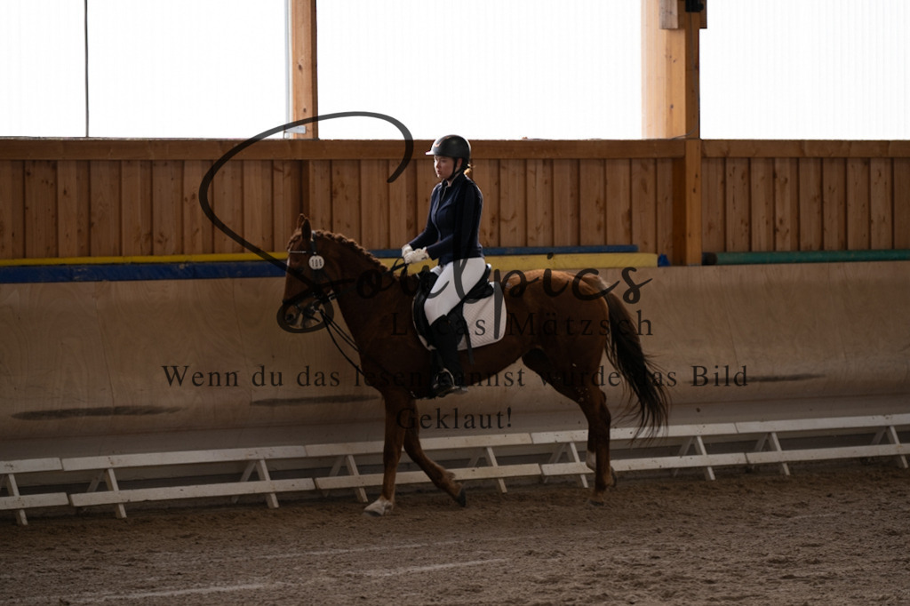 A7V09148 | Pferdefotograf