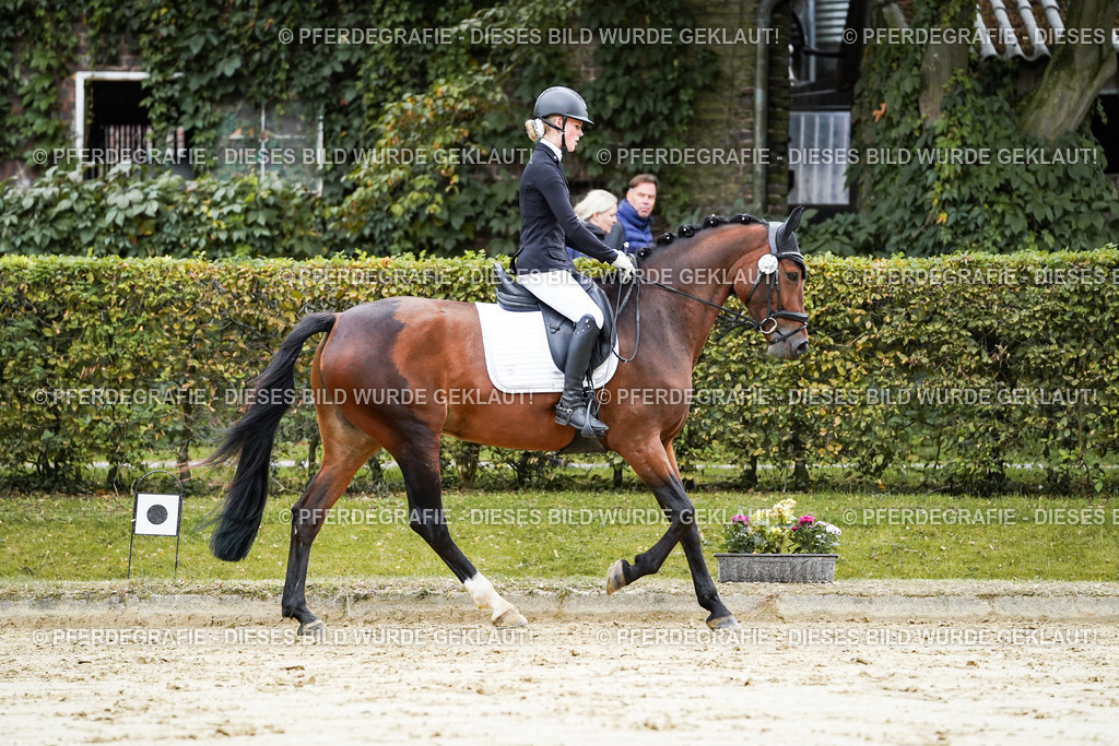 DSC06305 | Pferdegrafie