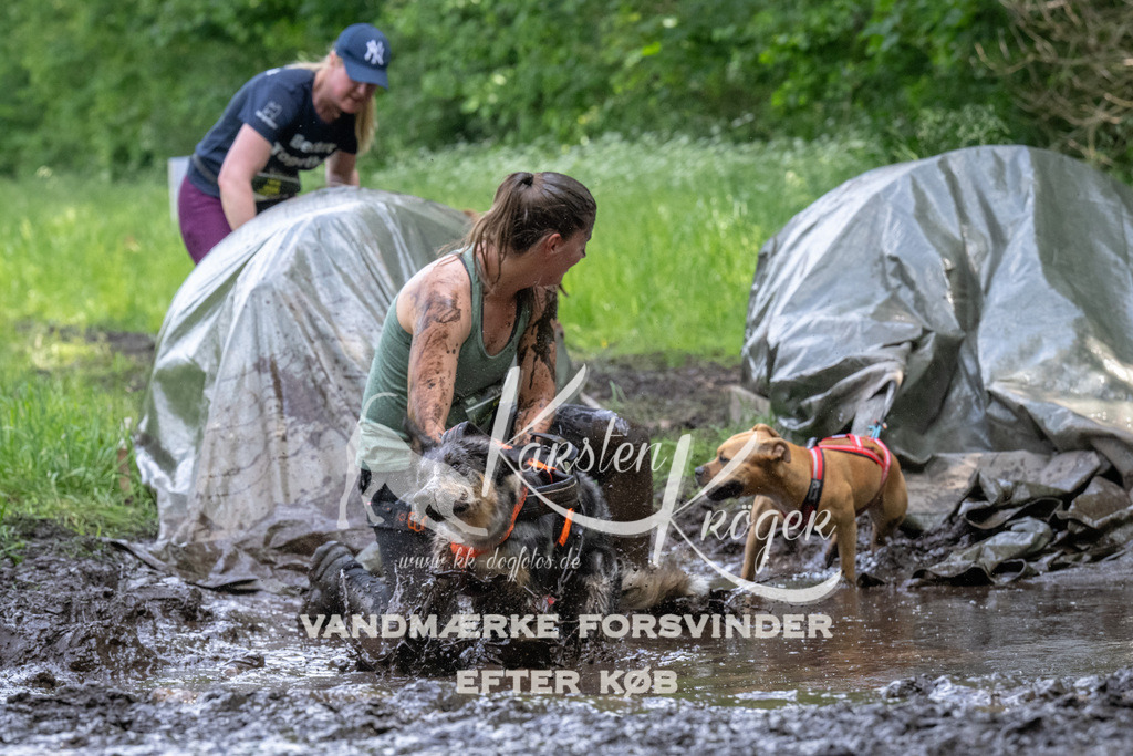 1347_ZZ92363 | kk-dogfotos