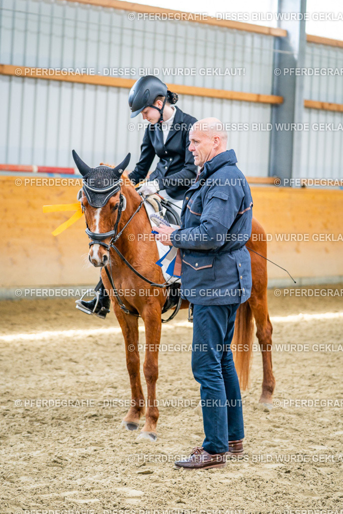 DSC03823 | Pferdegrafie