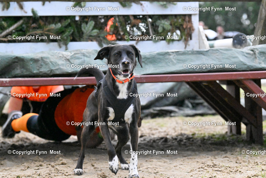 DSC_7015 | Hallo und herzlich Willkommen auf meiner Shop-Seite Fynn Most.

Ich wünsche Dir viel Spaß beim stöbern durch die Bilder, wenn Du Fragen hast oder Bilder vermisst, kannst du mir gerne eine Nachricht schreiben. - Realisiert mit Pictrs.com
