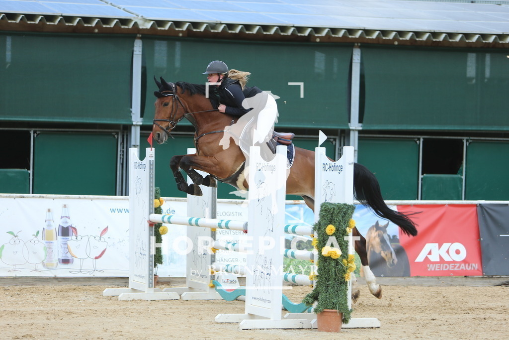 DL2Q8802 | Willkommen bei Brunnmayr - Design & Fotografie – Ihrem Spezialisten für Reitturniere und Pferdeveranstaltungen in Oberösterreich, Salzburg und Bayern! Seit über 17 Jahren sind wir leidenschaftlich dabei.