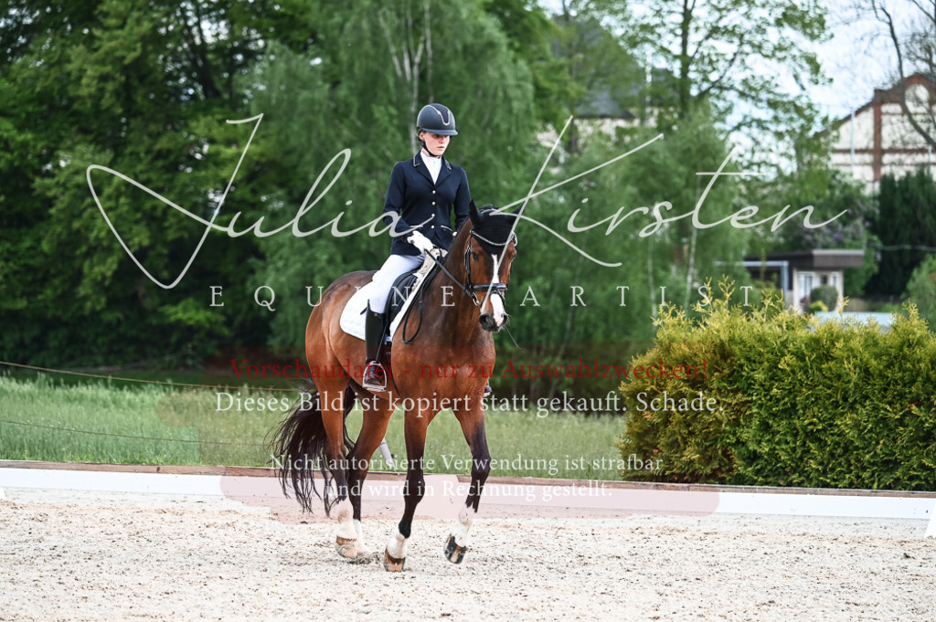 20230513_JK-Röhrsdorf-11-351 | Pferde- und Turnierfotografie in Westsachsen. Pferdeportraits, Auftragszeichnungen und intuitive Kunst.