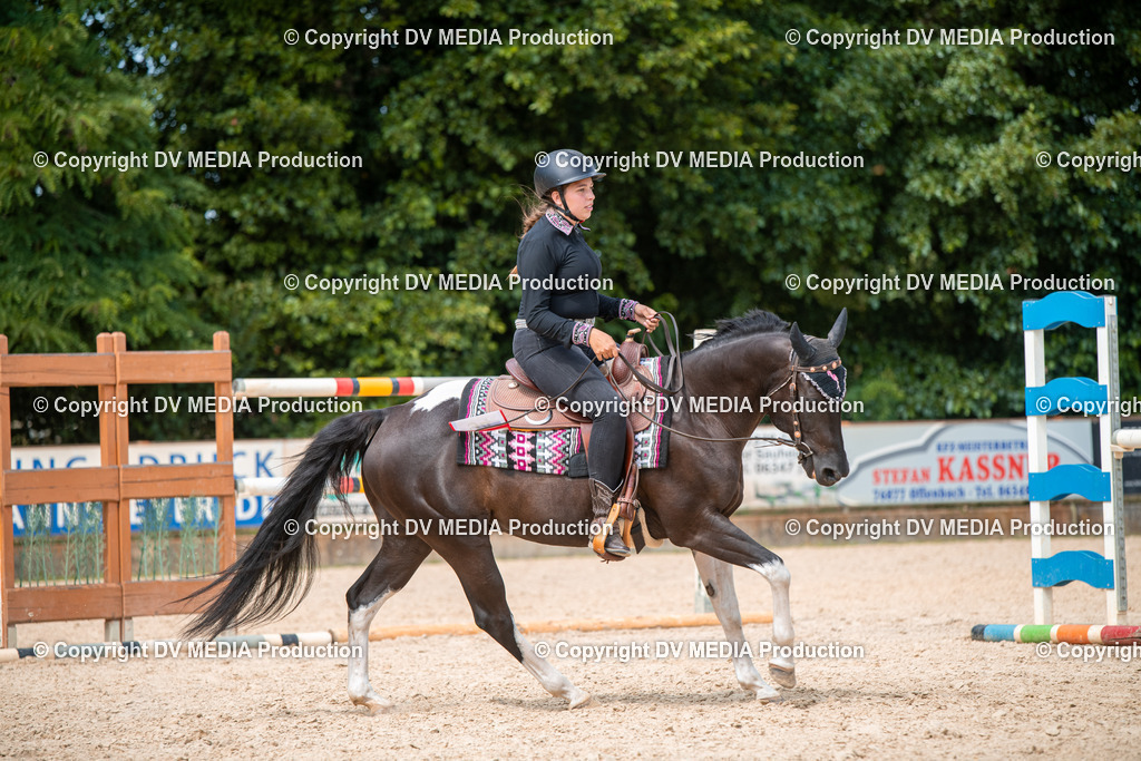 EWP_6701 | dv-media-shop - Realisiert mit Pictrs.com