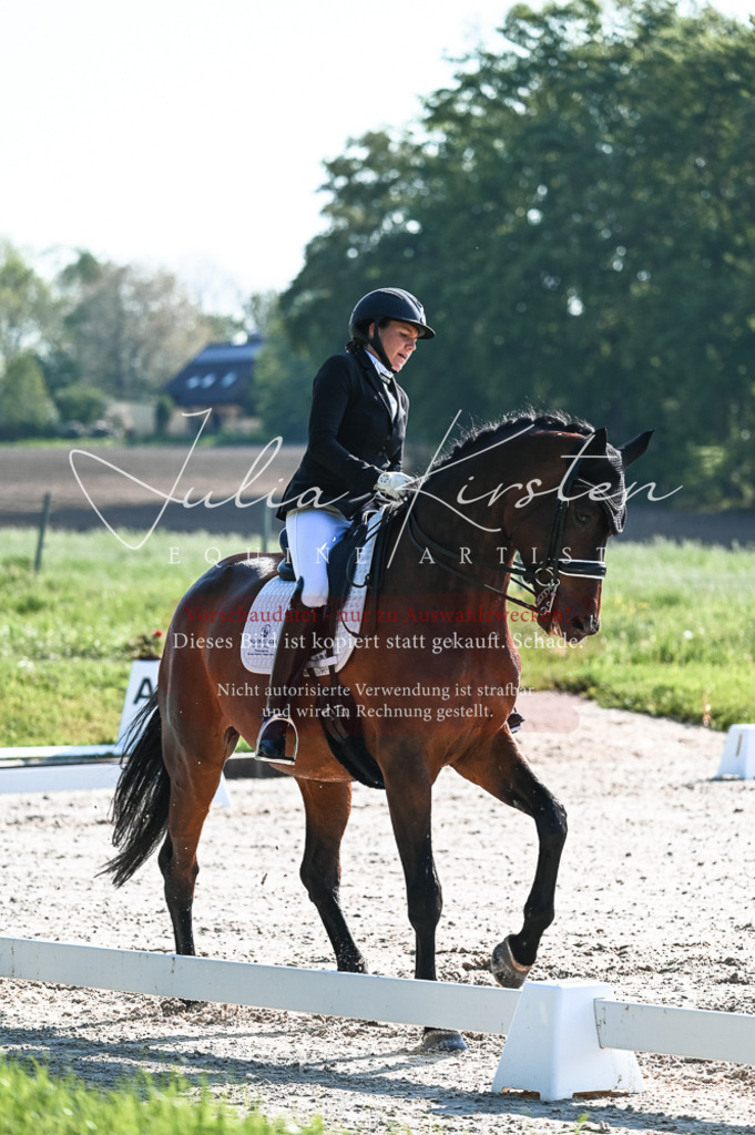 20230514_JK-Röhrsdorf-18-127 | Pferde- und Turnierfotografie in Westsachsen. Pferdeportraits, Auftragszeichnungen und intuitive Kunst.