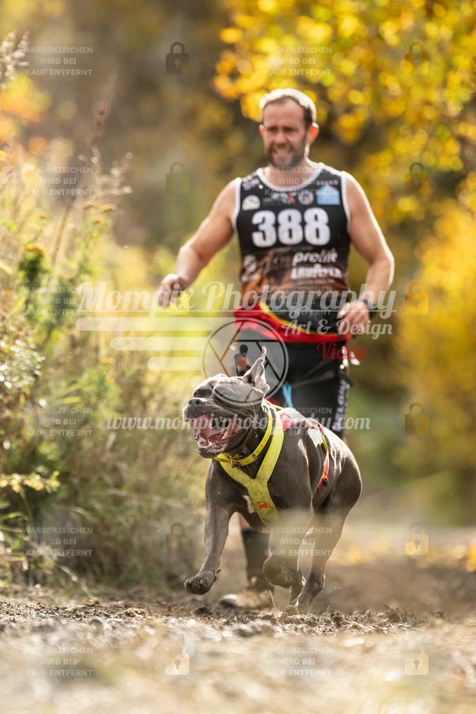 MompixPhotography_ICF_WC_2024_SA_Run_-343 | PayLife