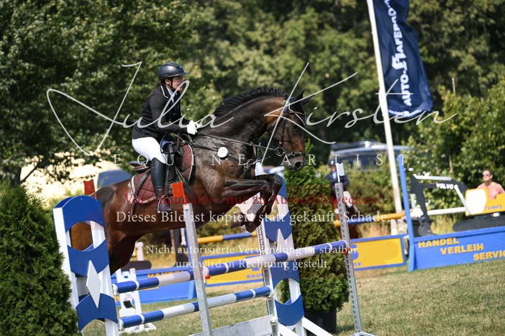 DSC_0216 | Pferde- und Turnierfotografie in Westsachsen. Pferdeportraits, Auftragszeichnungen und intuitive Kunst.