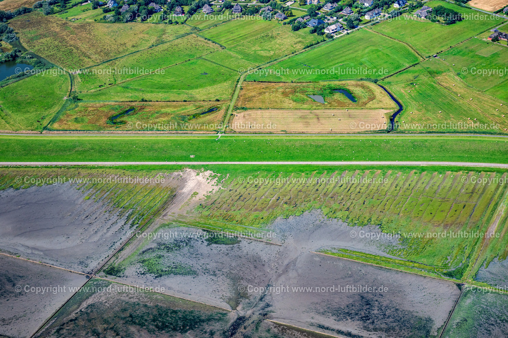 Sylt_Morsum_Osterende_Deich_Mit_Schafen_ELS_9559130825 | MORSUM 13.08.2025 Sylt- Insel Ortsansicht an der Meeres-Küste der Nordsee in Morsum im Bundesland Schleswig-Holstein. // Townscape on the seacoast of North Sea in Morsum in the state Schleswig-Holstein. Foto: Martin Elsen