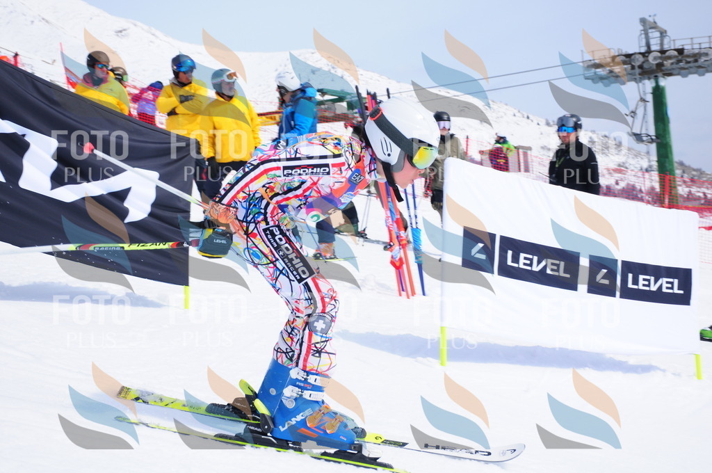 DSC_2373 | holidayphoto