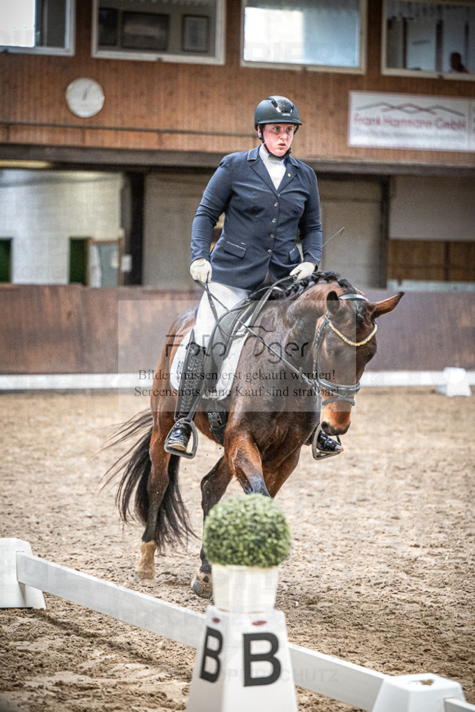 DOS_0210 | Entdecke hochwertige Reitturnierfotos von Foto Oger. Professionell, emotional und authentisch – jetzt Lieblingsmomente im Shop bestellen.Deutschlandweite Turnierfotografie. - Realisiert mit Pictrs.com
