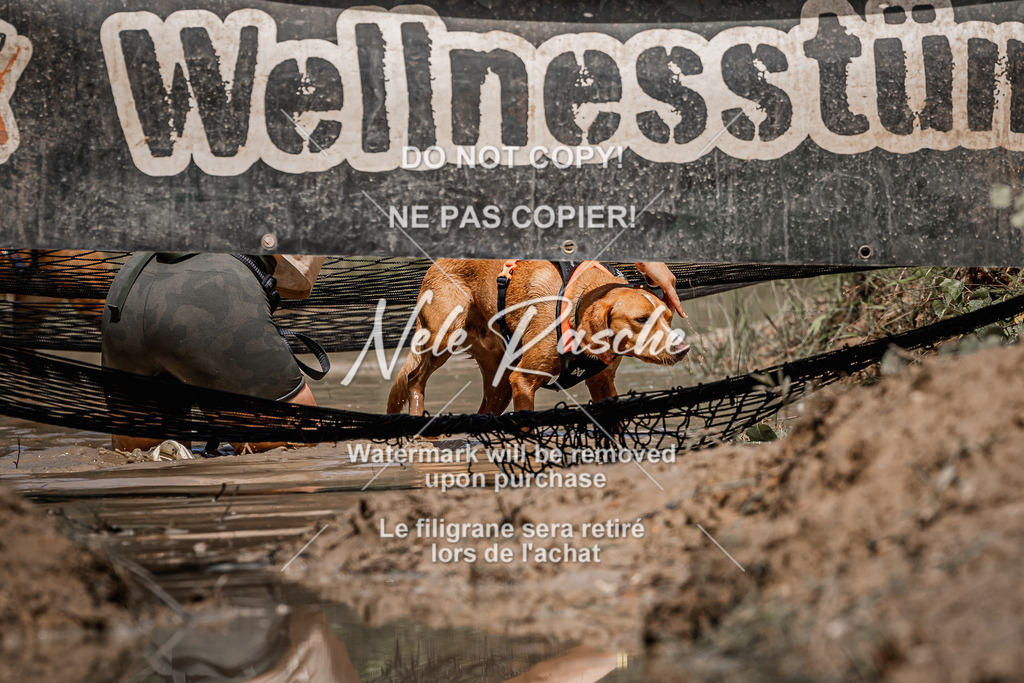 nelerasche_Hoope2026_Sa1230-1300_509 | nelerasche
