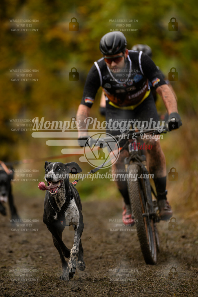 MompixPhotography_ICF_WC_2024_SA_Bike_-34 | PayLife