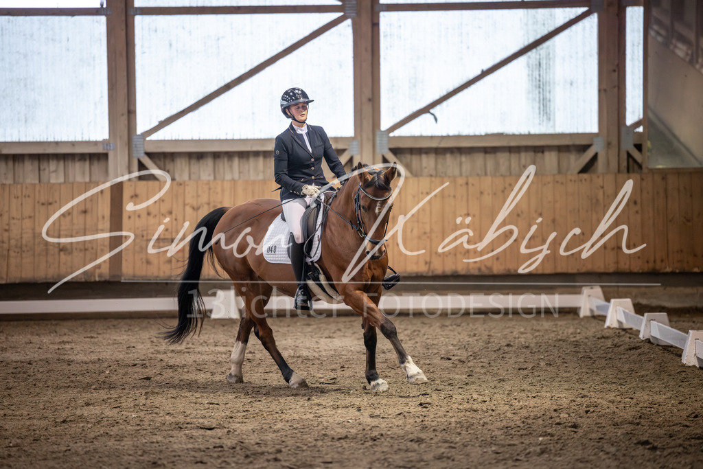 20251011-_3LI2033 | Tierfotografie Pferde, Hunde, Katzen, Haustiere.
Turnierfotografie Reitturniere, Reiten, Springreiten, Dressur in Hanau, dem Main-Kinzig-Kreis und dem Rhein-Main- Gebiet um Frankfurt
