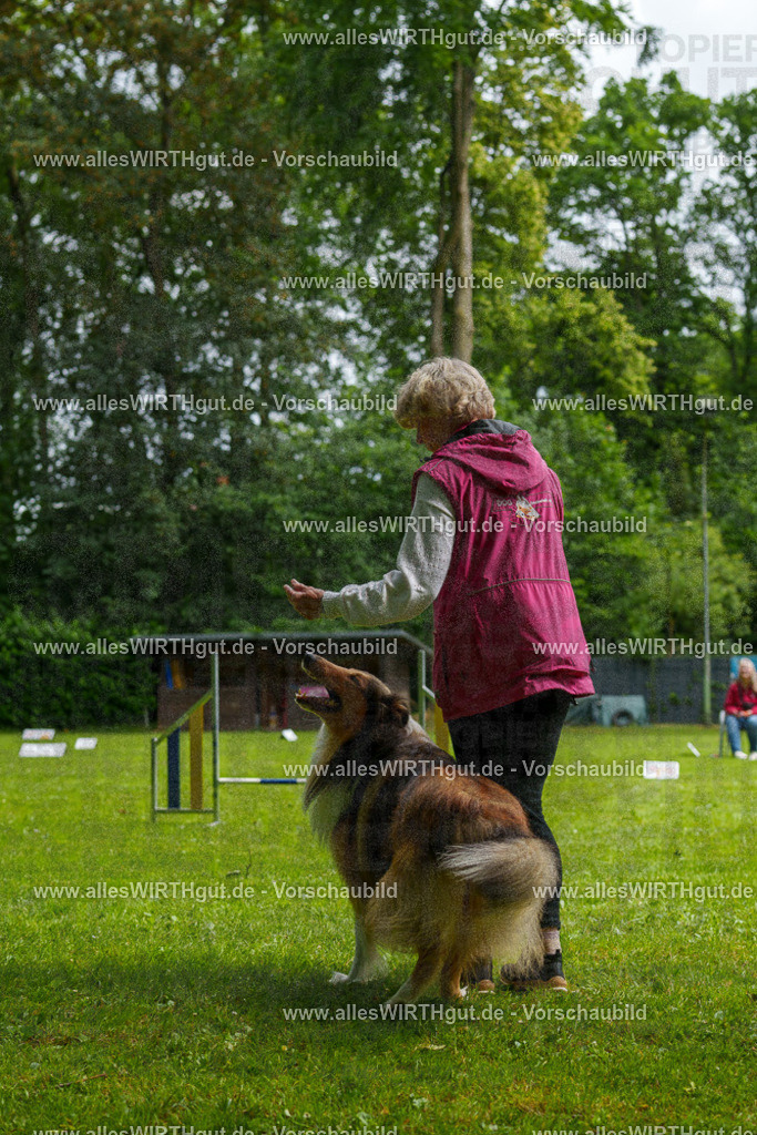 @allesWIRTHgut_Tierfotografie - www.allesWIRTHgut.de - 095038-7R507709 | Professionelle Tierfotografie in Mönchengladbach von Daniel Wirth (allesWIRTHgut). Liebevolle & natürliche Bilder von Hunden & Katzen für unvergessliche Erinnerungen.