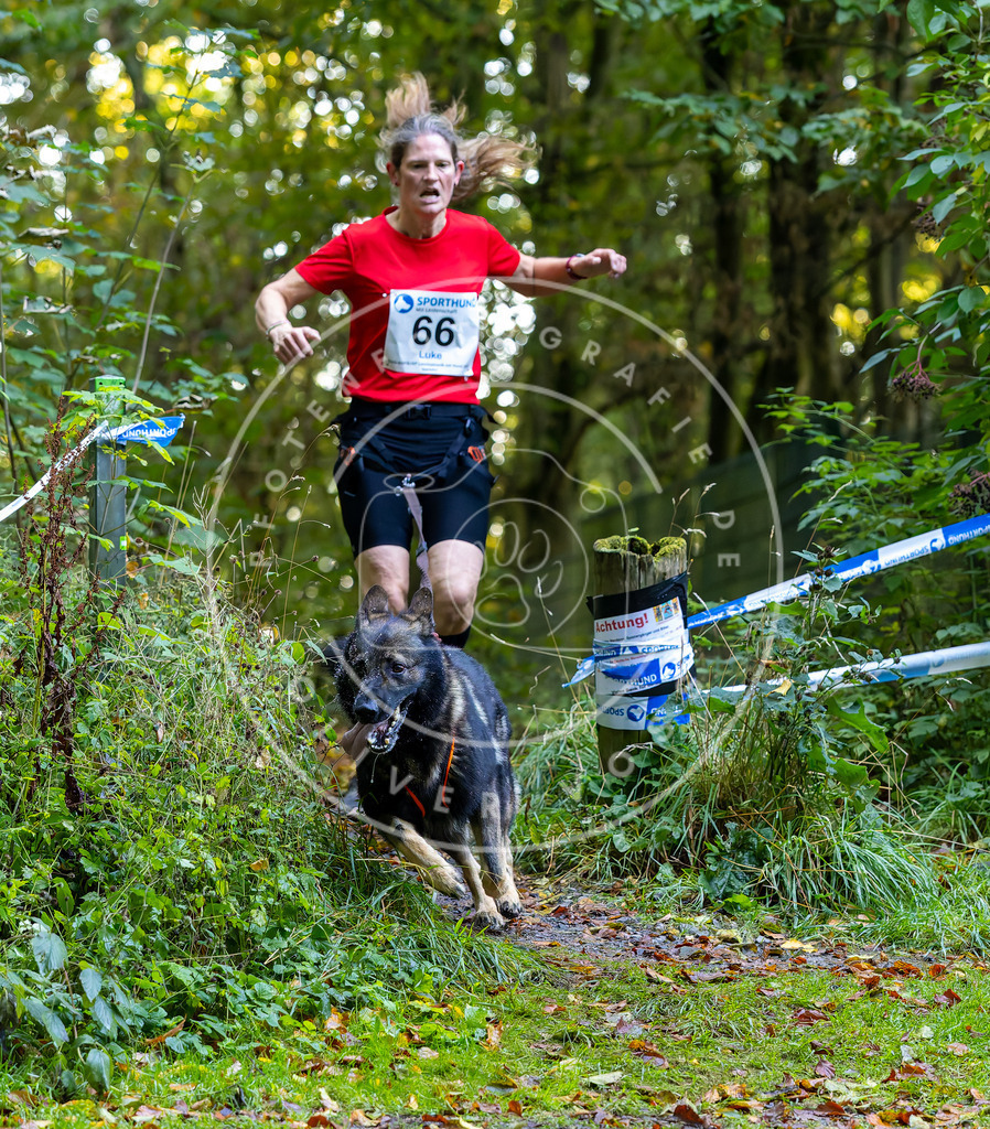 Pfotenfotografie_DV3A7255 | Hundefotografie, Tierfotograf, Pfotenfotografie, Fotoshooting Hund, Hunde Portrait, Hundesport, Hundeportraits, Heideshooting, Hunde, Sportfotograf, Hundefotograf, Turnierhundsport, THS,  - Realisiert mit Pictrs.com