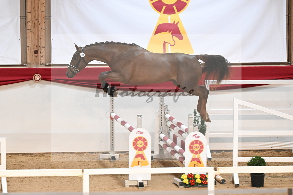 Kat.-Nr. 32 v. Tangelo van de Zuuthoeve_Schlamminger_3261789 | hf-fotografie - Realizzato con Pictrs.com
