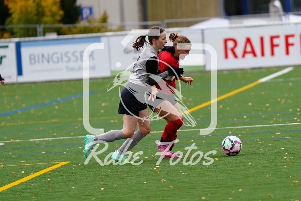 SON08930 | rabefotos