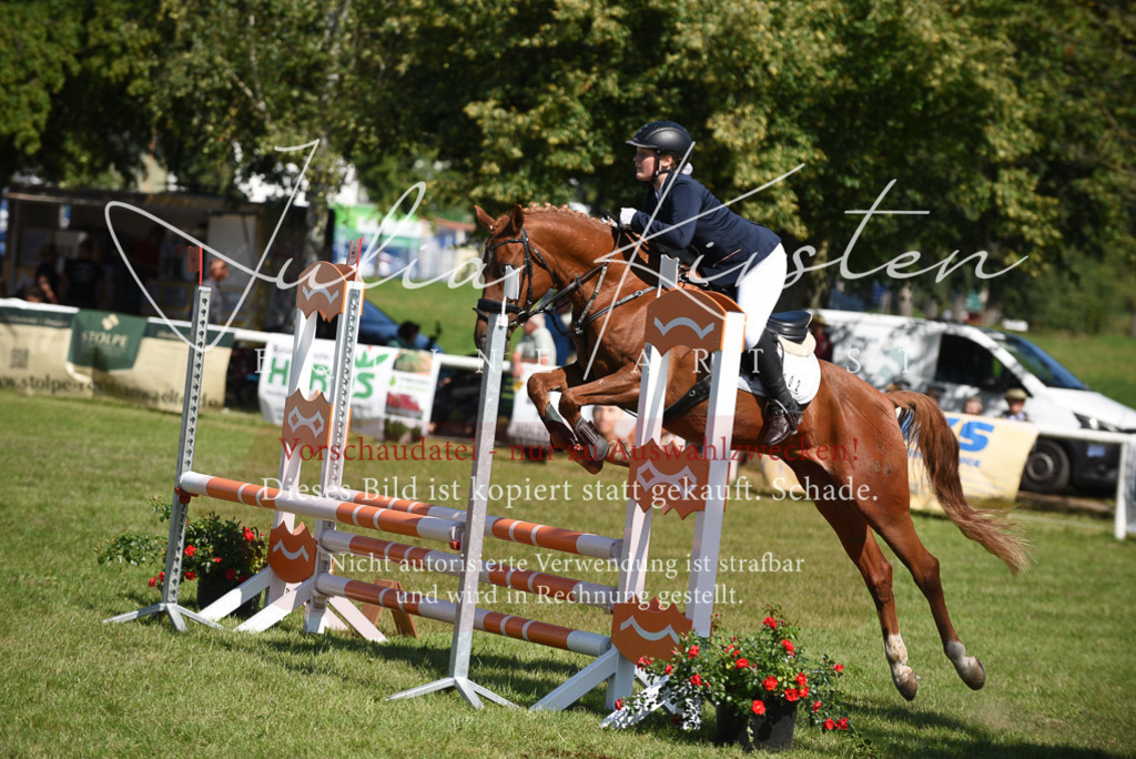 DSC_9310 | Pferde- und Turnierfotografie in Westsachsen. Pferdeportraits, Auftragszeichnungen und intuitive Kunst.