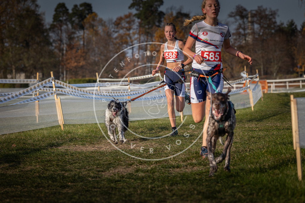 CaniXpix_0L8A9796 | Hundefotografie, Tierfotograf, Pfotenfotografie, Fotoshooting Hund, Hunde Portrait, Hundesport, Hundeportraits, Heideshooting, Hunde, Sportfotograf, Hundefotograf, Turnierhundsport, THS,  - Realisiert mit Pictrs.com