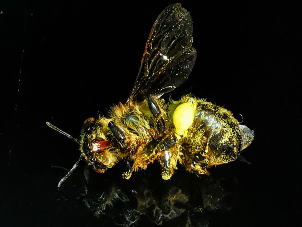 PSX_20230221_224859 | mtkfoto_ - Realisiert mit Pictrs.com