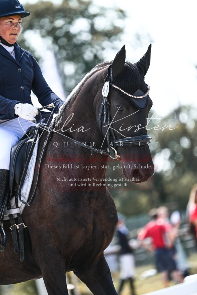 DSC_5404 | Pferde- und Turnierfotografie in Westsachsen. Pferdeportraits, Auftragszeichnungen und intuitive Kunst.