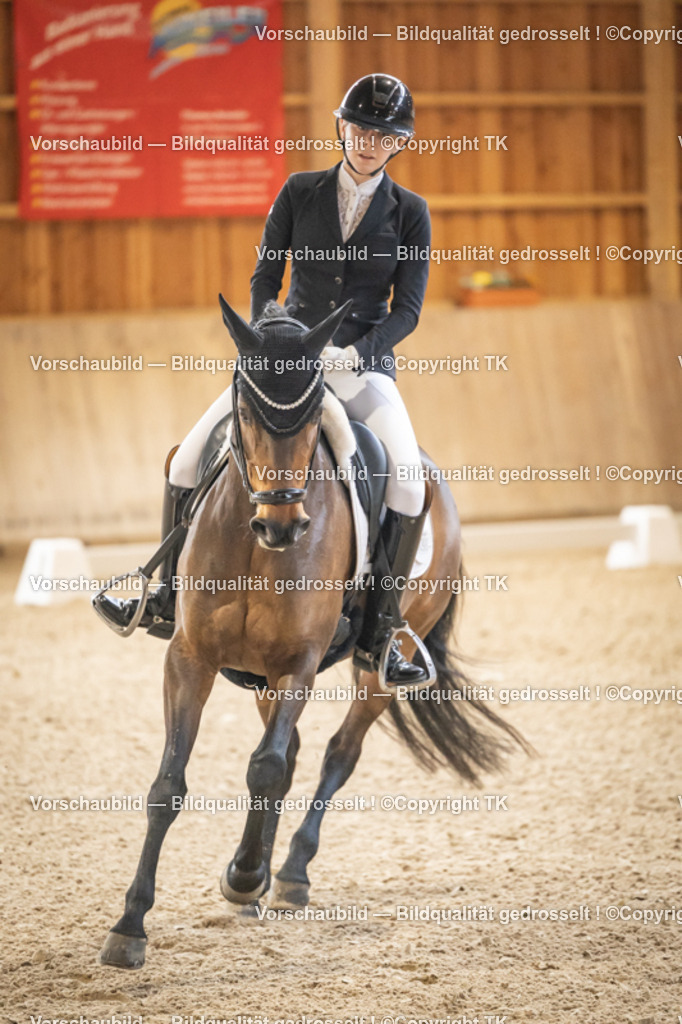 _D5A7006 | Emotionale Pferde- & People-Fotografie rund um Heidelberg, Leimen & Umgebung. Natürliche Fotos von Pferd, Mensch & Familie. Jetzt Termin sichern!