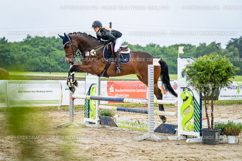 DSC02558 | Pferdegrafie