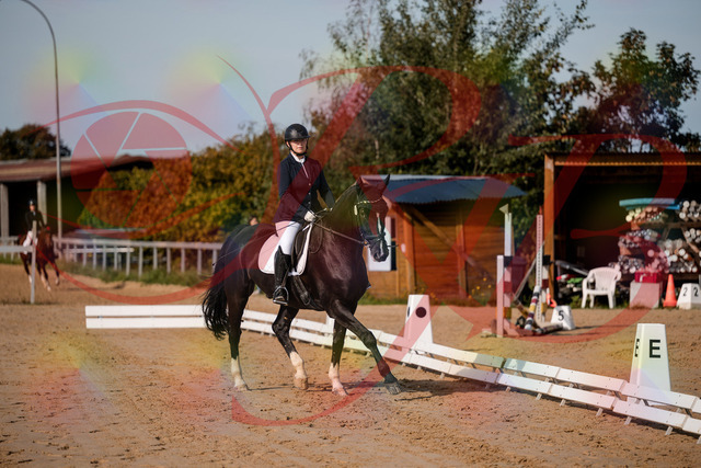 2026_10_03_Siefer-Hof_113340_Z63_20084264 | Professionelle Reitsport-, Turnier- und Eventfotografie von Robert Broda. Galerien mit ausgewählten und bearbeiteten Bildern direkt online ansehen und bestellen.