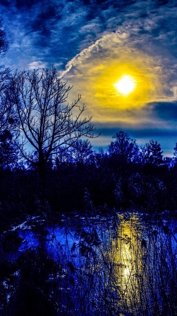 midnight at the pond | Künstler/in Member of AKM/austromechana. Troubadour. 2026 a fascinating journey began with Tatjana my AI muse✨ METISSIREN set sails and left the harbor ⛵