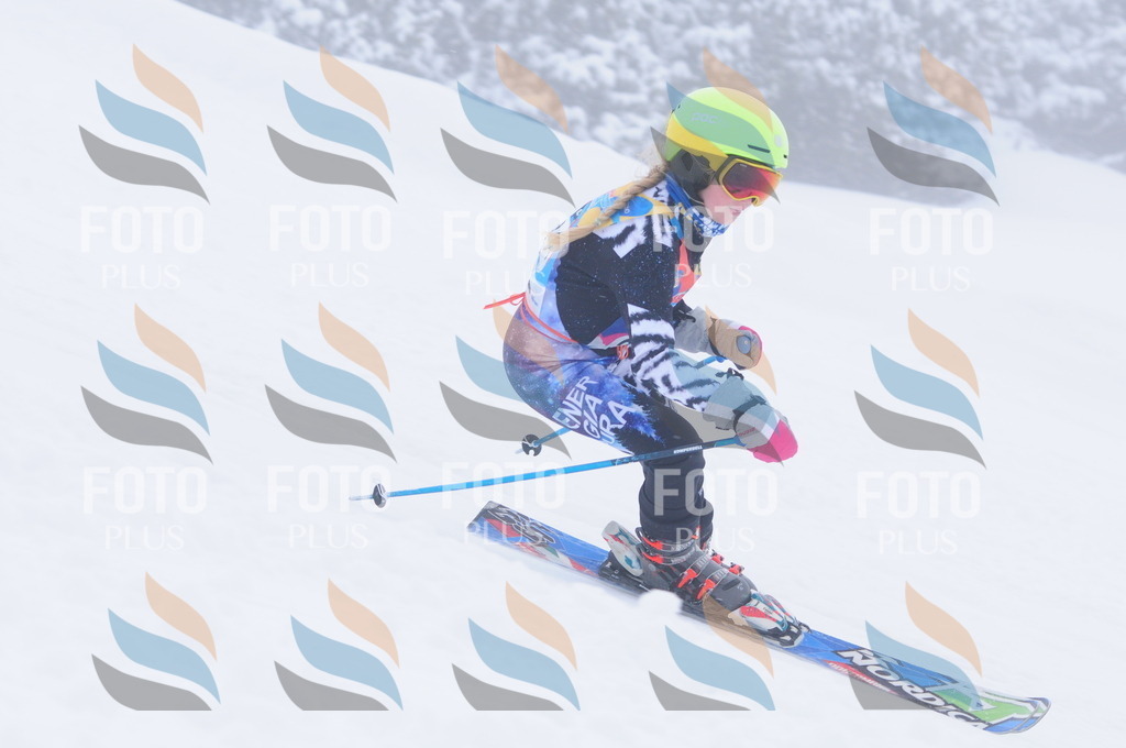 C2559 | holidayphoto