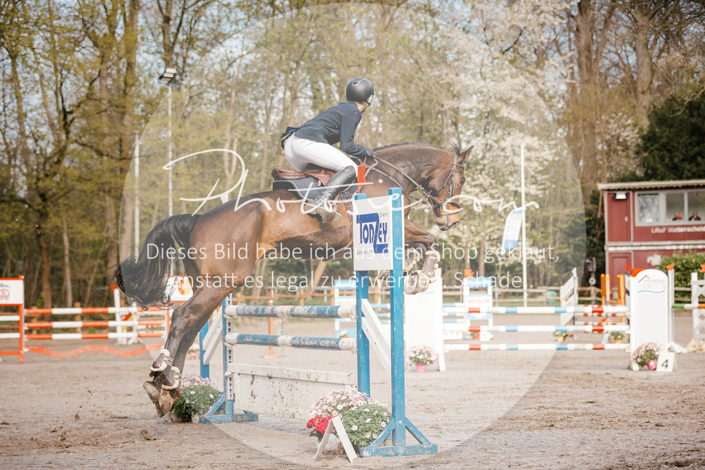 3I6A3407 | Stimmungsvolle Portraits und Reitsportfotografie im Ruhrgebiet und im Münsterland.

Pferdefotografie, Hundefotografie, Tierfotografie, Reportagen, Portraits von Tier und Mensch, Turnierfotografie in Bochum, Recklinghausen, Marl, Haltern am See, Dülmen.. - Realisiert mit Pictrs.com