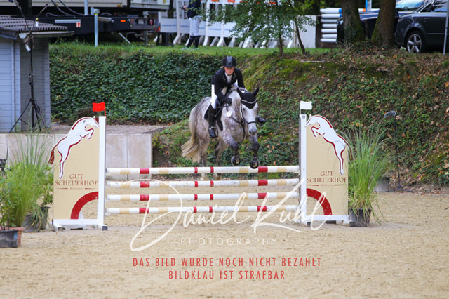 DKP40468 | Turniersportfotografie; Pferdefotografie; Dressurfotografie