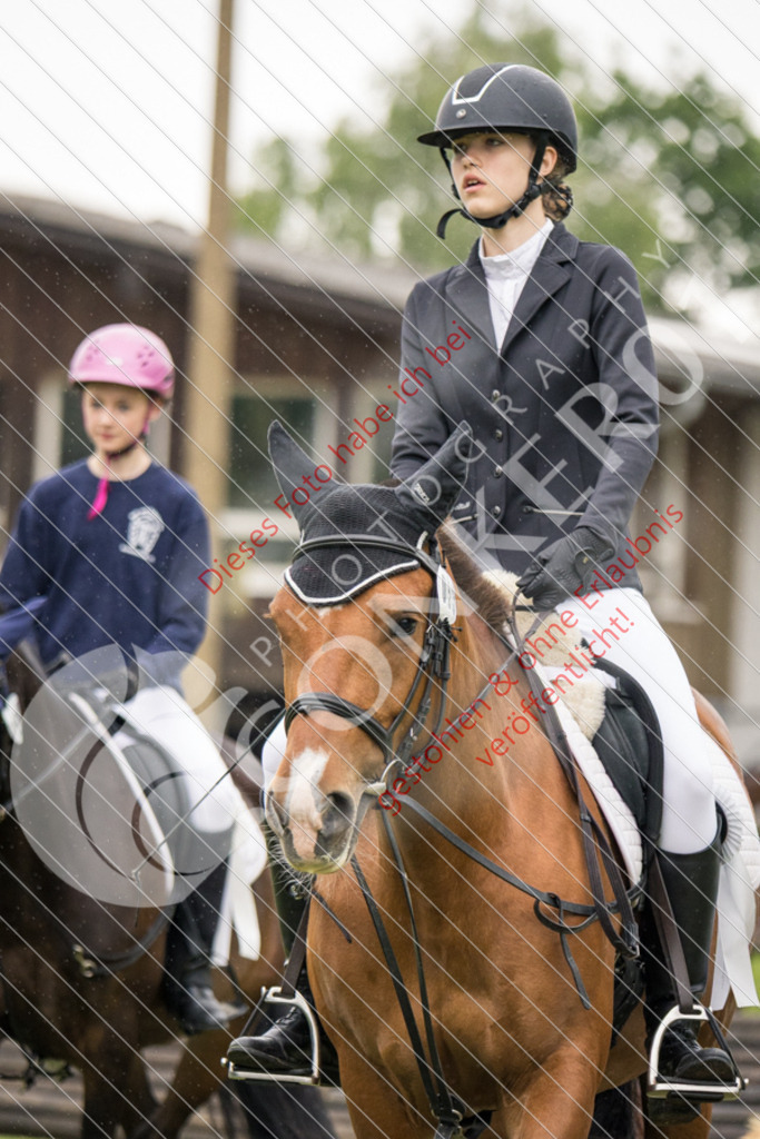 IMG_8045 | Sport-, Event- und Tierfotos in Profiqualität. Einfach auswählen, bestellen und herunterladen. Dein Moment – perfekt festgehalten.