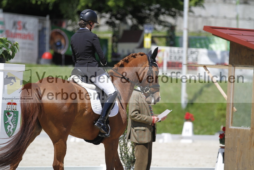 _MG_4602 | equestrian-live-com
