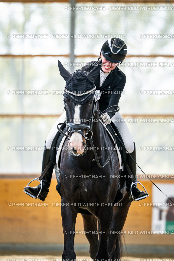 DSC05979 | Pferdegrafie