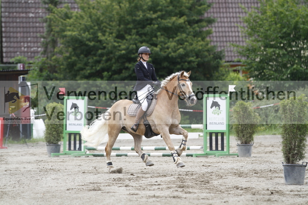 _MG_6434 | equestrian-live-com