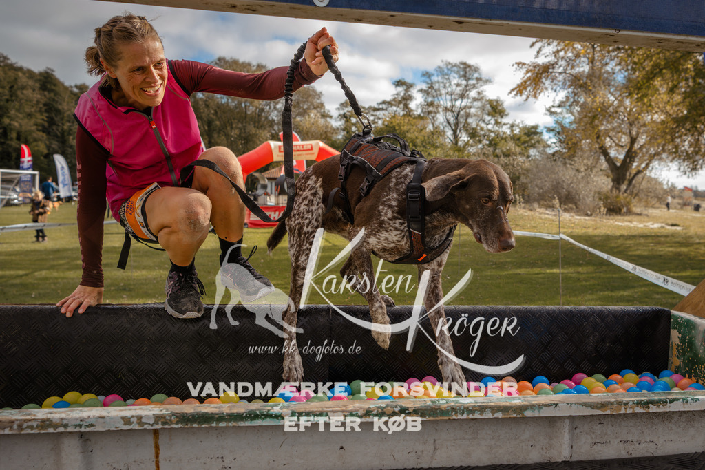 1336_ZZ91562-2 | kk-dogfotos