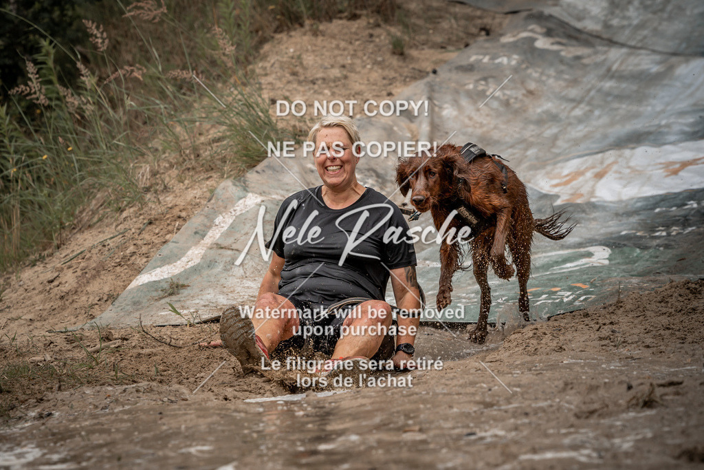 nelerasche_sa1200-1230_311 | nelerasche