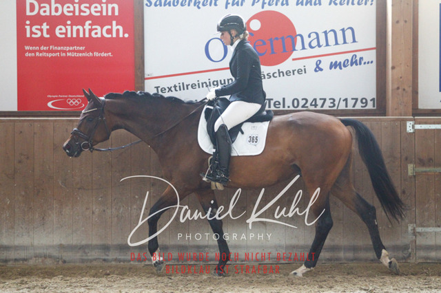 DKP43300 | Turniersportfotografie; Pferdefotografie; Dressurfotografie