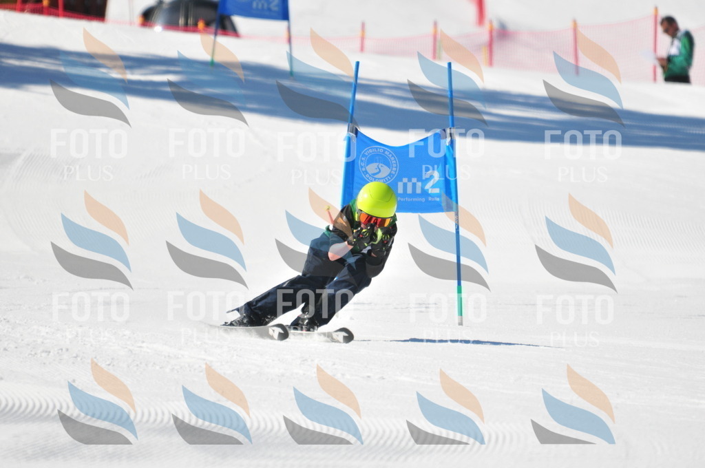 C3801 | holidayphoto