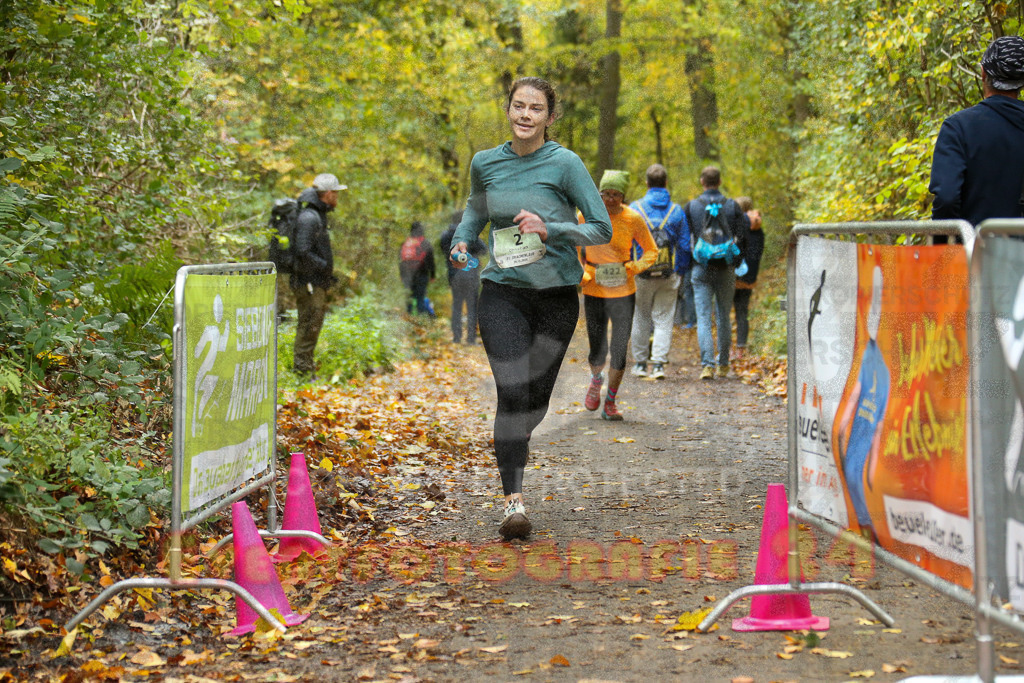 251026_1325_EX1_3394 | Sportfotografie im Rhein-Sieg Kreis, Köln, Bonn, NRW, Rheinland Pfalz, Hessen, etc. Unser Tätigkeitsfeld umfasst den Laufsport vom Volkslauf über den Marathon, Duathlon, Triathon bis zum Ultralauf wie Kölnpfad Ultra oder Schindertrail.