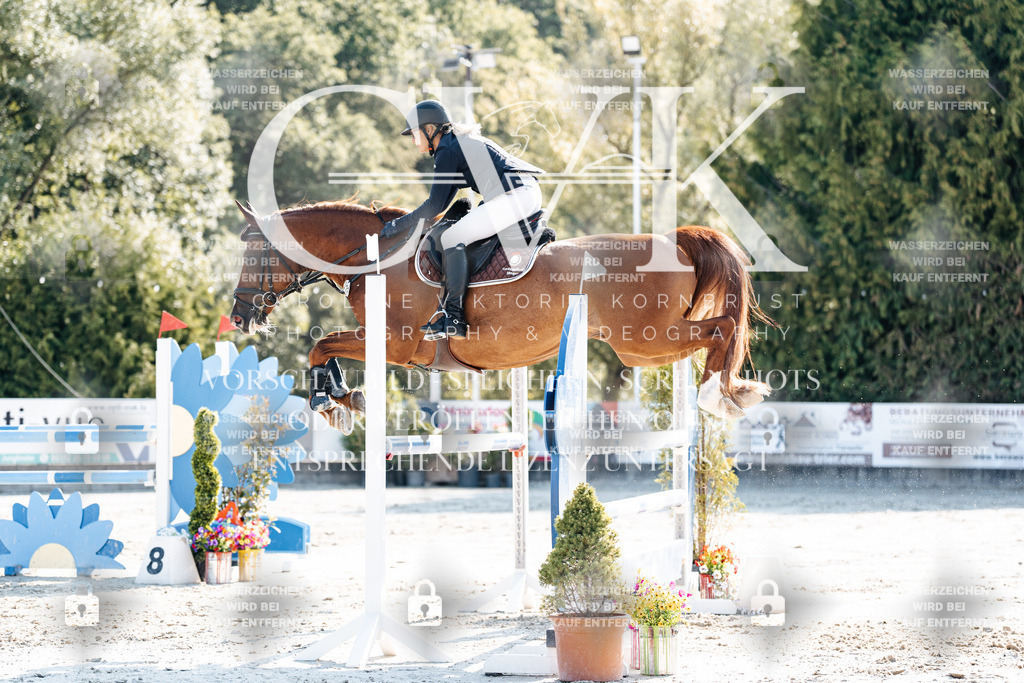 CK902007 | Turnierfotografie Pferdefotografie Trier Rheinland-Pfalz Pferdesport Reitsport Tierfotografie Sportfotografie Pferdevideo Pferdevideografie Equestrianvideography equestrianphotography  - Realisiert mit Pictrs.com