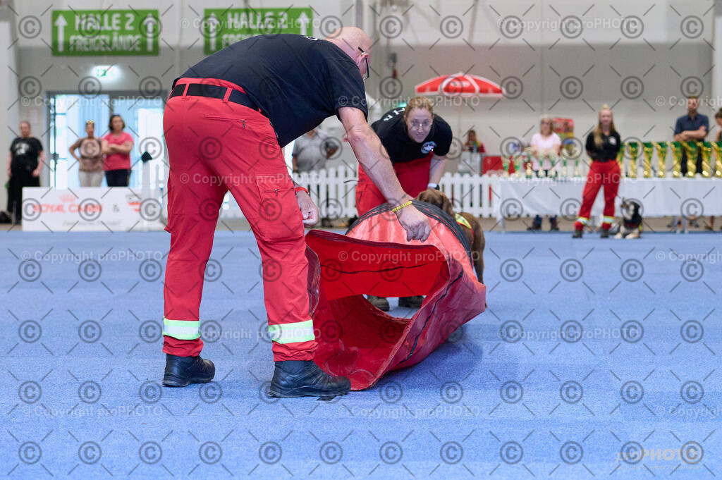 202406_ÖKV-IHA-Tulln24_DSC_3457 | proPHOTO - Realisiert mit Pictrs.com