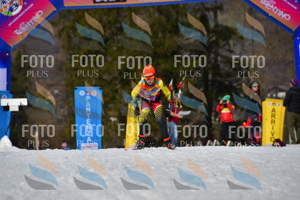 _DSC0909 | holidayphoto