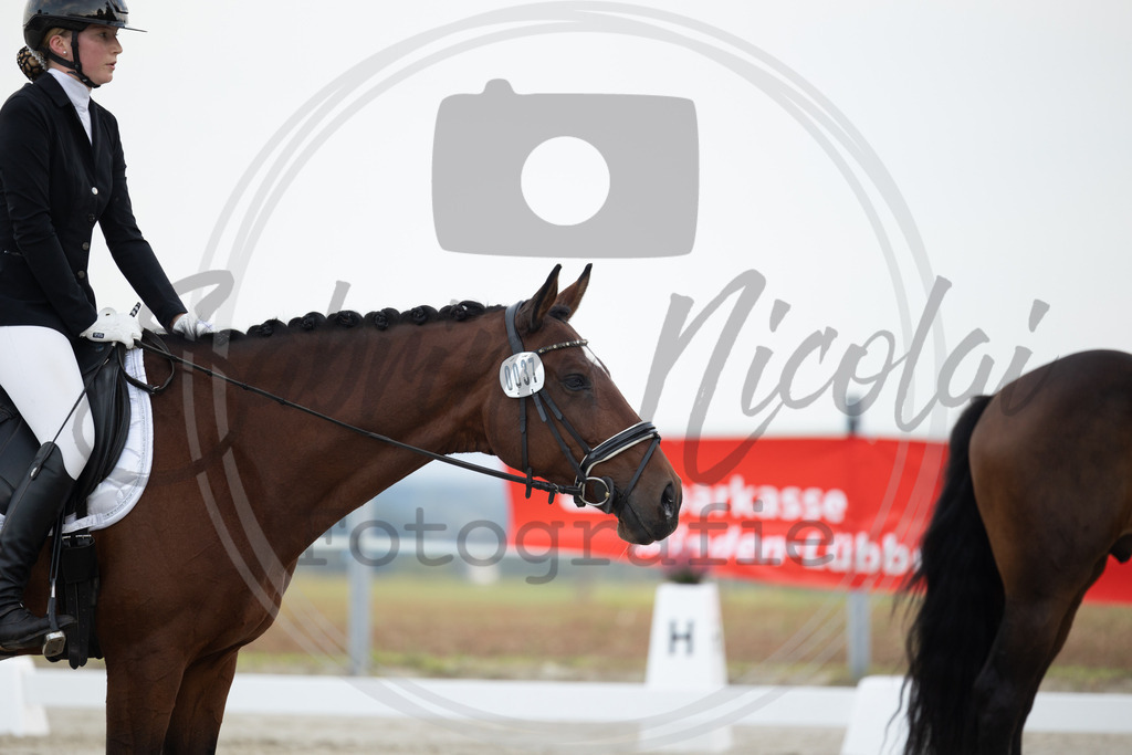 994A9868 | sabrinanicolaifotografie - Realisiert mit Pictrs.com