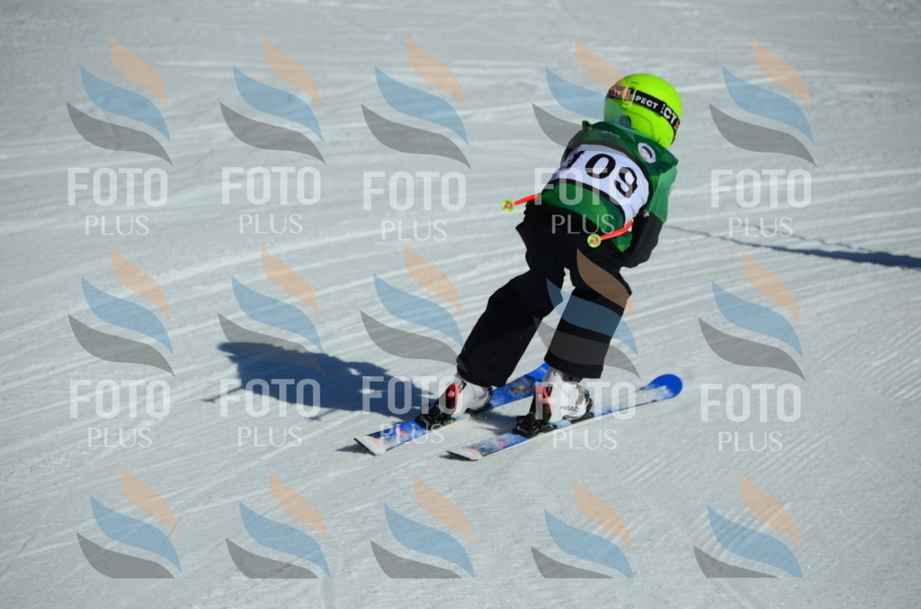 C5169 | holidayphoto