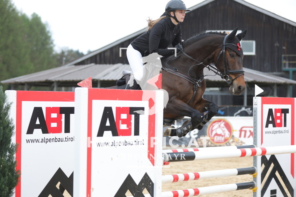 0P6A3483 | Willkommen bei Brunnmayr - Design & Fotografie – Ihrem Spezialisten für Reitturniere und Pferdeveranstaltungen in Oberösterreich, Salzburg und Bayern! Seit über 17 Jahren sind wir leidenschaftlich dabei.
