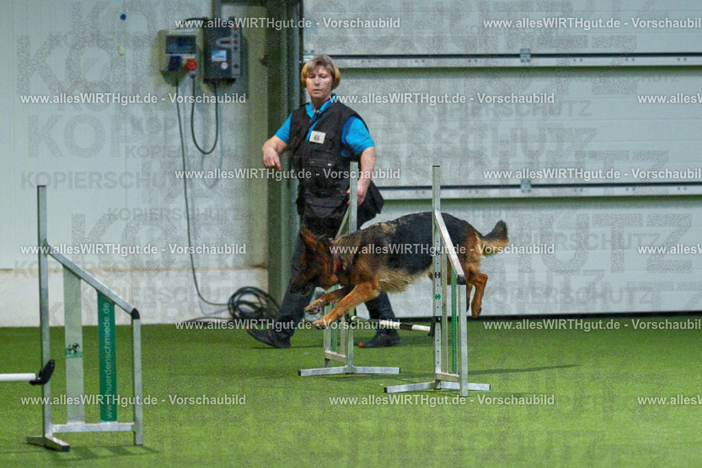 7R507994 | Professionelle Tierfotografie in Mönchengladbach von Daniel Wirth (allesWIRTHgut). Liebevolle & natürliche Bilder von Hunden & Katzen für unvergessliche Erinnerungen.