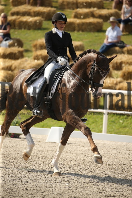 Birkhof_2022_GrandPrixSpecial_Jasmin Schaudt_Fano 3 (3) | Alle Fotos der Reiterjournal Fotografin Doris Matthaes im Reiterjournal Online-Fotoshop. - Realisiert mit Pictrs.com