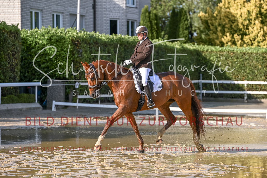Schugtsche-Aluta25-54.Dressurprf.L1Trense-225 | Schugtsche Fotografie - Realisiert mit Pictrs.com